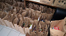 1000 продуктових пакетів до Великодня отримали сім'ї військових (відео)