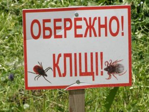 Остерігаймося кліщів