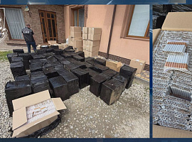Мешканці Коломийського району налагодили тютюновий бізнес у підпільних цехах (відео)
