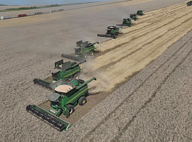 Осінньо-польові роботи тривають на Прикарпатті (відео)