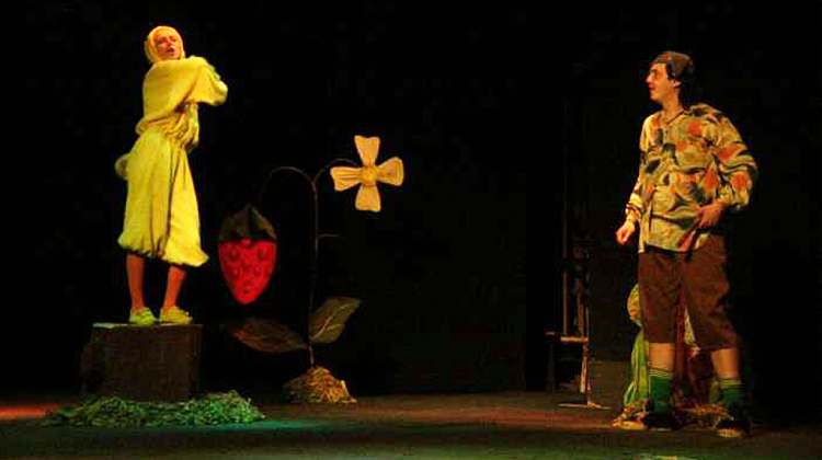 Коломийський театр запрошує 18 серпня на казку для дітей «Золоте курча»
