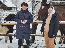 Родина із Запорізької області перевезла на Прикарпаття 19 собак, 2 коней та 2 котів (відео)