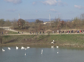 У Коломиї відбувся спортивний забіг (відео)