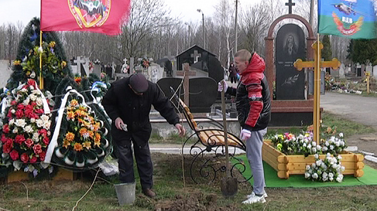 У Коломиї на могилах загиблих героїв посадили кущі калини (відео)