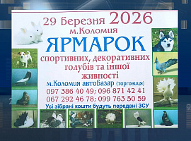 У Коломиї влаштують ярмарок спортивних і декоративних голубів (відео)