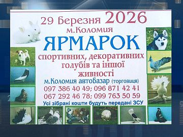 У Коломиї влаштують ярмарок спортивних і декоративних голубів (відео)