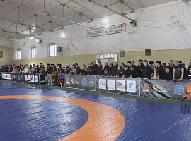 Відкритий чемпіонат Івано-Франківської області з панкратіону відбувся у Коломиї (відео)