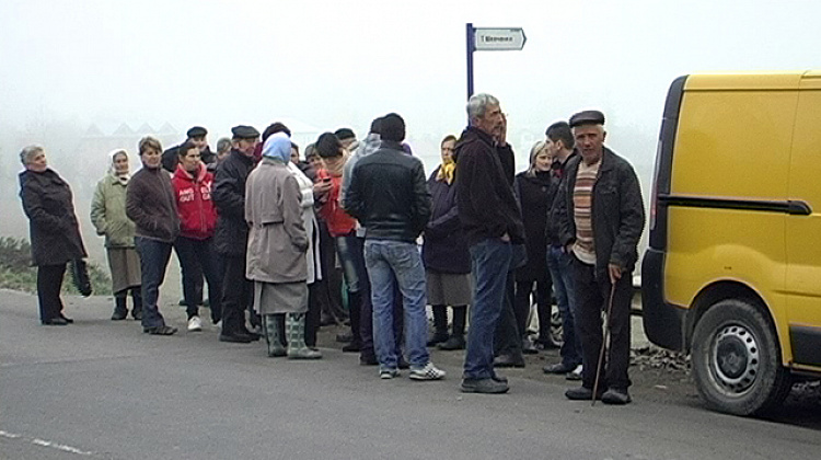 Мешканці Коломийщини протестують проти вирубування дерев (відео)