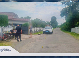 Збив велосипедистку та втік: автопригода у Матеївецькій громаді (відео) Збив велосипедистку та втік: автопригода у Матеївецькій громаді (відео)