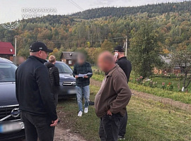Продавали ліс «наліво». На Прикарпатті викрили посадовців