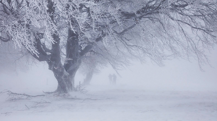 Попередження! На Івано-Франківщині ускладнення погоди: сніг та значний мороз