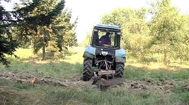 Коломийські ліси оборюють, щоб захистити від пожеж (відео)