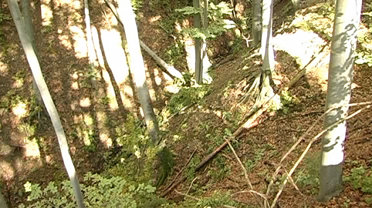 На Коломийщині місцеві мешканці віднайшли криївку (відео)