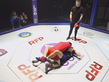 «Шлях воїна». У Коломиї відбувся видовищний Кубок Заходу України з бойового самбо (відео)