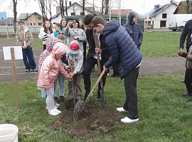 У Коломиї на шкільному подвір'ї висадили алею пам'яті випускників, які захищали Україну (відео)